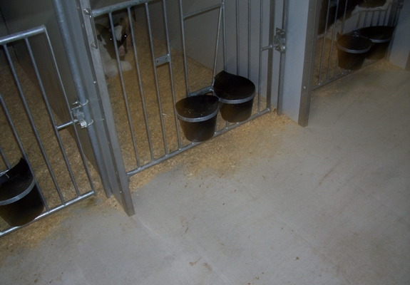 dairy equipment pics