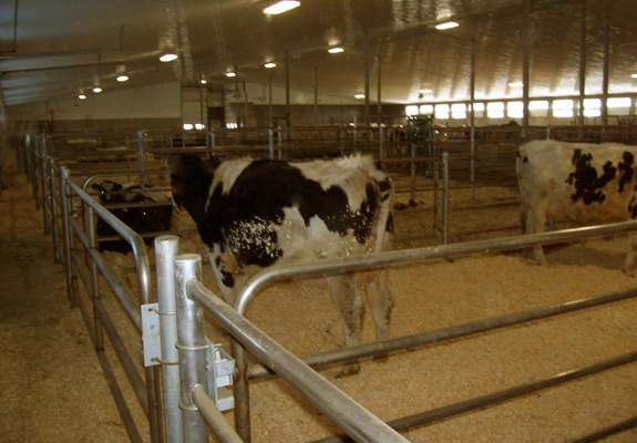 dairy equipment pics