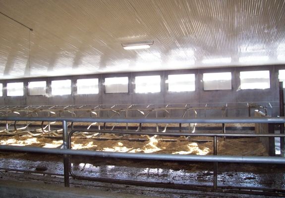 dairy equipment pics