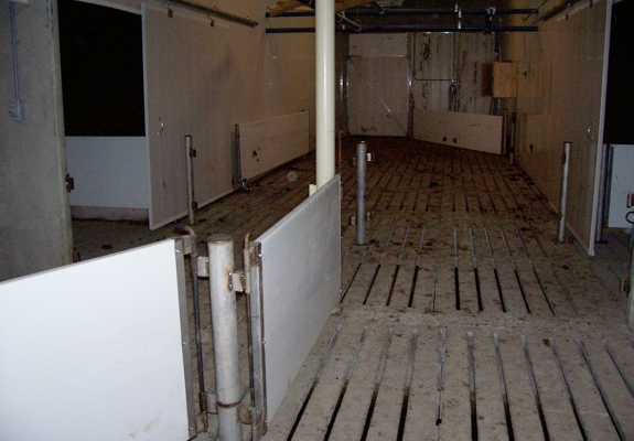 Hog sorting perimeter hog farming equipment pics