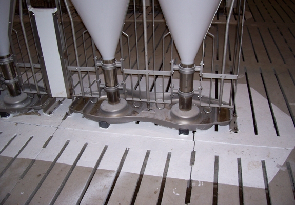 Koca feeder with treated concrete slats hog farming equipment pics