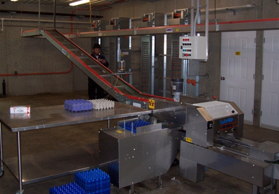 Layers farming equipment pics